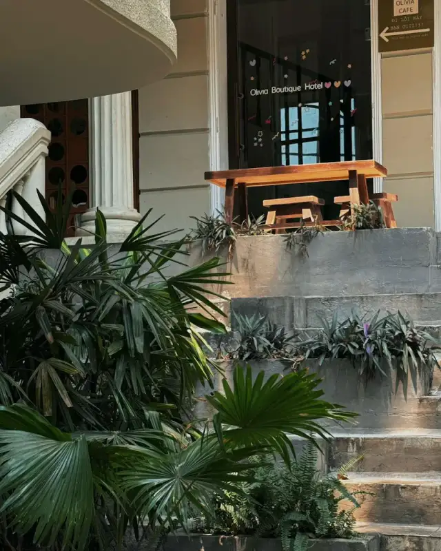 Olivia Hotel & Cafe Vũng Tàu - ảnh 3